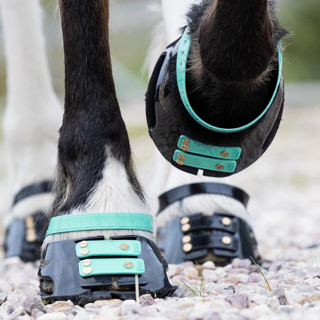 Pastern Straps