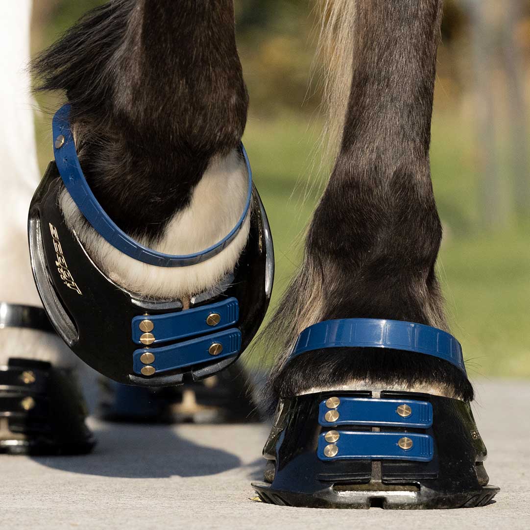 Pastern Straps