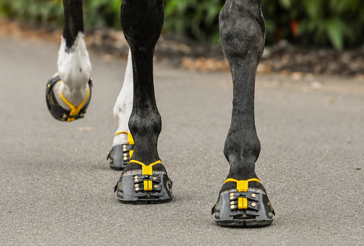 Scoot Boots Classic in muddy conditions
