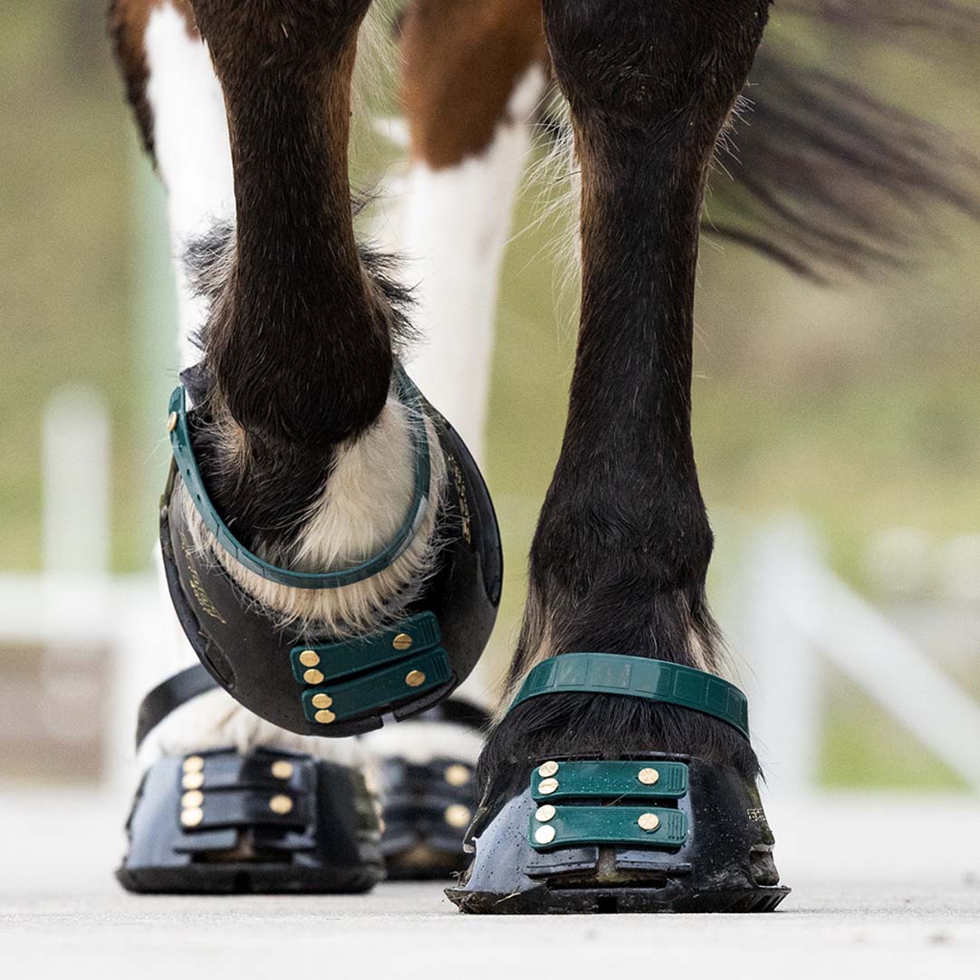 Pastern Straps