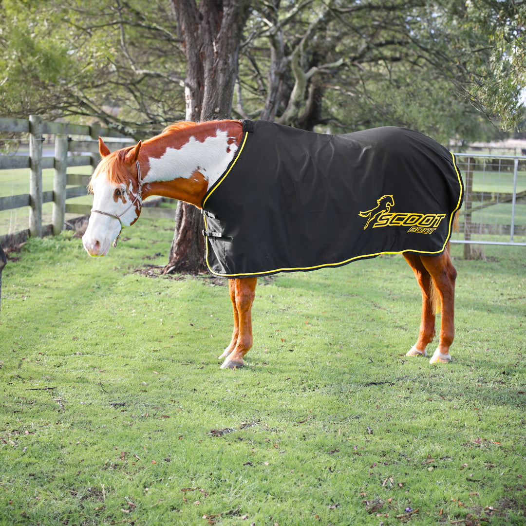 Horse Rugs – Scootboot