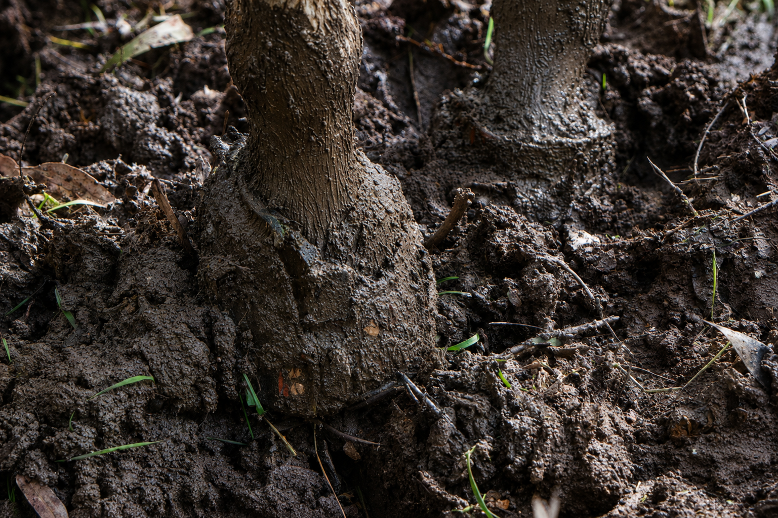 Scoot Boots tested in mud and rough terrain